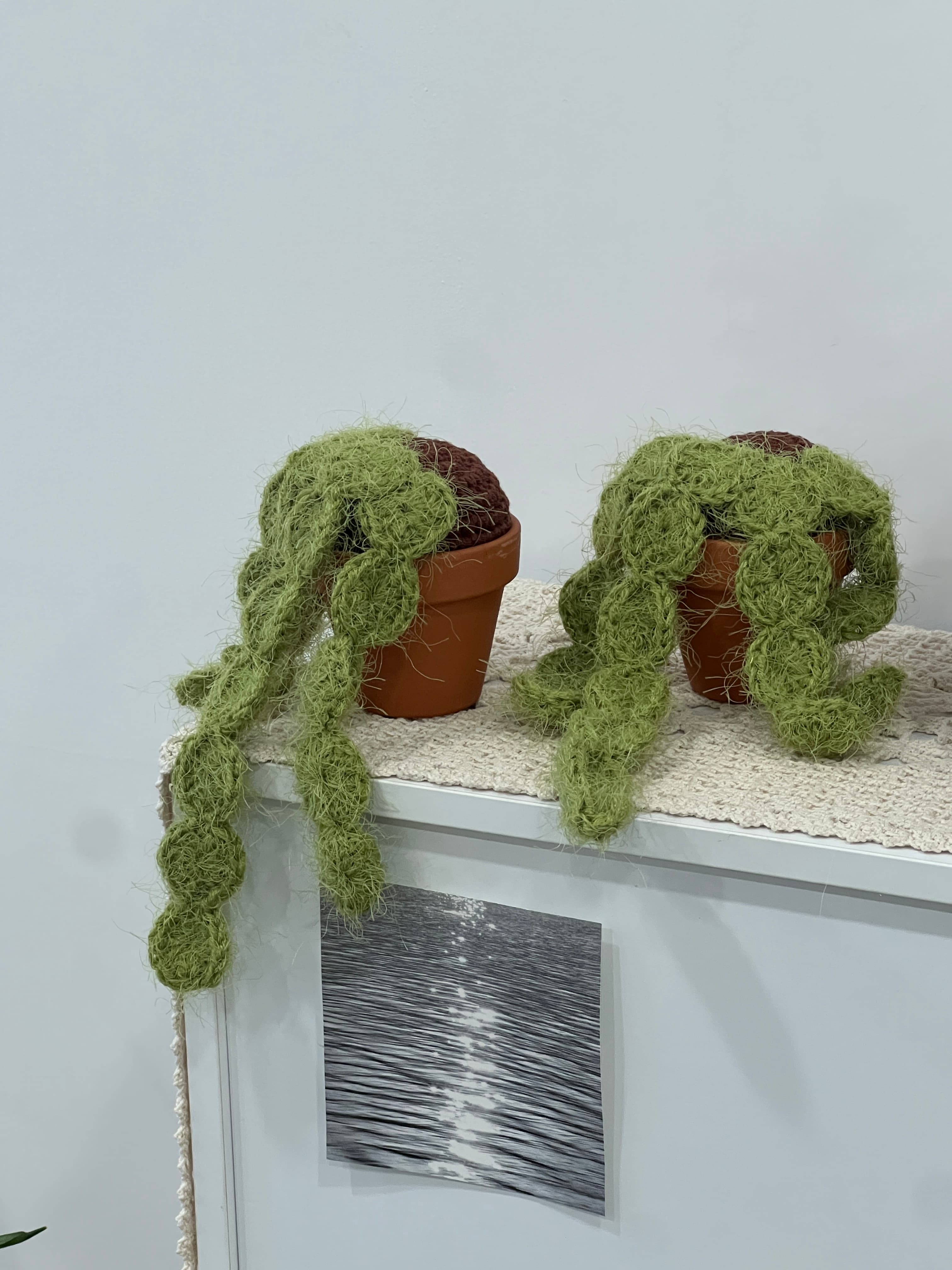 [knityoon]new 코바늘 식물화분 손뜨개 다육이화분 미니화분 집들이선물 개업선물