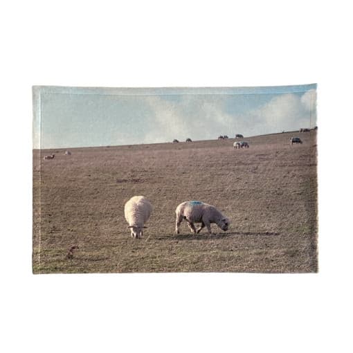 [트리클오브] Sheep mini rug 양 미니러그