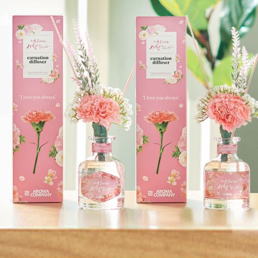 [아로마컴퍼니] 카네이션 디퓨저 150ml 어버이날 스승의날 감사의달 선물