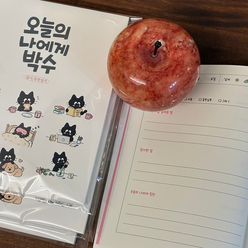 오늘의나에게박수 감사 칭찬 하루 일기 기록장